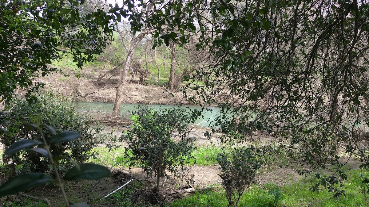 Napa Valley Restaurant Group